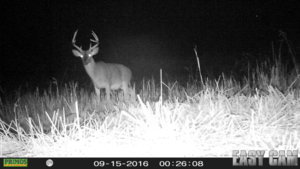 HUNT1830.JPG HUNT1830.JPG