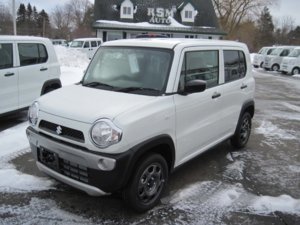 Busy BadgerBusy Badger_2015 06 29_0332.jpg