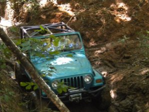 Trail 2.jpg