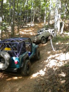 trailing.jpg