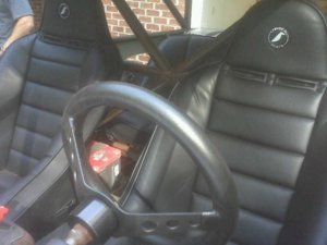 IMG00618.jpg
