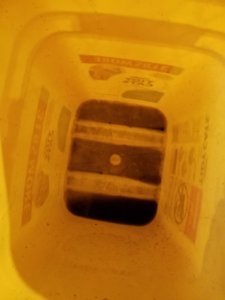 20170122_150232.jpg