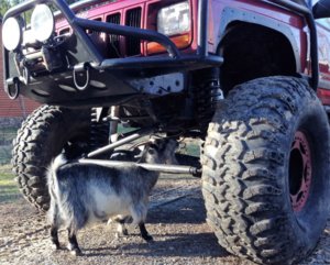 IMG_1952 (Edited) (2).JPG