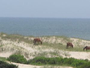 IMG_1576.JPG