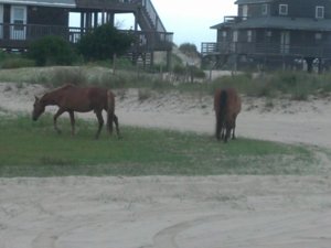 IMG_20130622_191511_324.jpg