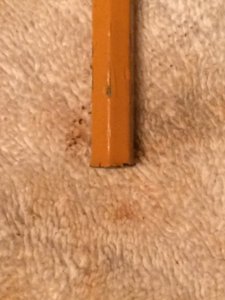 IMG_3920.JPG IMG_3920.JPG