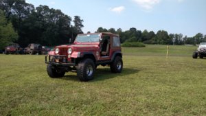 cell pic import 158.jpg