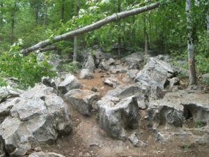Dixie run 2010 059.jpg