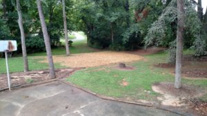 IMG_20170807_111111970[1].jpg