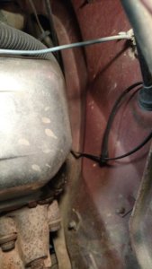 IMG_20170810_221649522[1].jpg