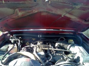 IMG_20120715_184825.jpg