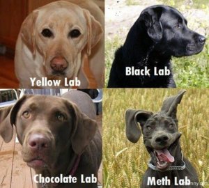 meth-lab.jpg meth-lab.jpg