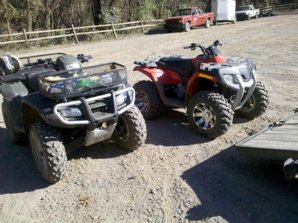 4wheelers.JPG 4wheelers.JPG