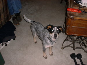 FILE0001.jpg FILE0001.jpg