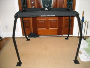 Rollcagepainted1.JPG