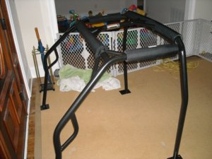 Rollcagepainted2.JPG