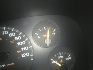 IMG_1210.JPG