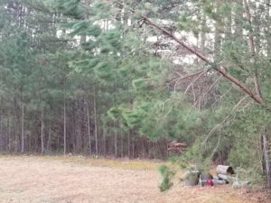 20180224_073714.jpg