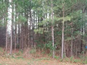 20180224_073702.jpg