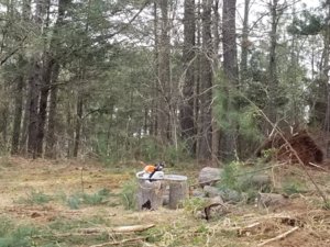 20180317_143102.jpg