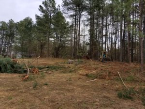 20180317_143105.jpg