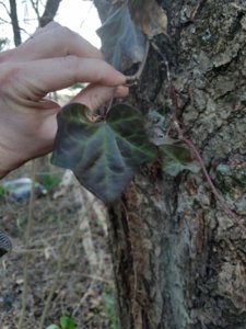 20180404_182638.jpg 20180404_182638.jpg