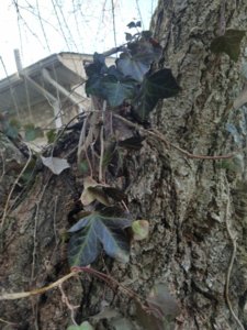 20180404_182628.jpg