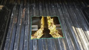 20180420_175512.jpg 20180420_175512.jpg