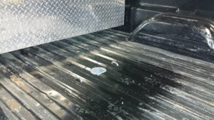 20180424_024845.jpg 20180424_024845.jpg