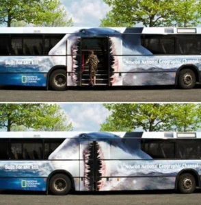 shark_bus.jpg
