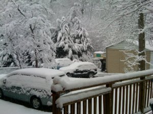 2010snow.jpg