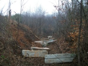 DSCF1305.JPG