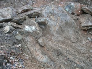 DSCF1318.JPG