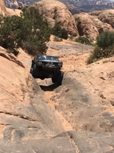 Poison Spider MEsa 6-17.jpg