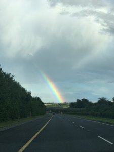 070DF557-59B3-4C09-9B9C-E65CEEE7FE62.jpeg