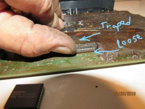 IMG_1731 (Medium)_LI.jpg