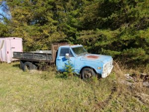 20181118_134513.jpg 20181118_134513.jpg