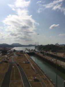 9026B030-31EE-446B-A87E-6AD9D5BC0650.jpeg
