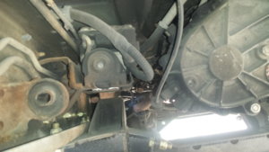 20190327_155743.jpg 20190327_155743.jpg