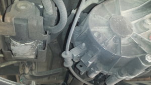 20190327_160045.jpg 20190327_160045.jpg