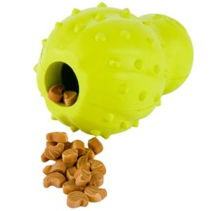 dog toy.jpg
