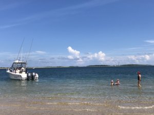 IMG_6800.JPG IMG_6800.JPG