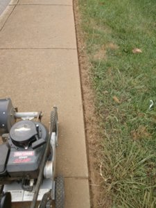 IMG_20190605_182008636.jpg