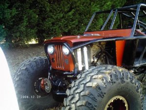 buggy done 5.jpg