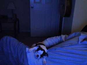 Photo 76.jpg