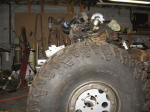 IMG_0115_1.JPG