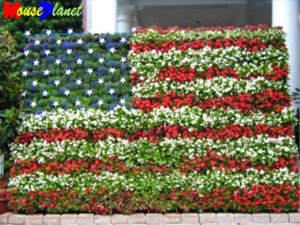 american_flag_lotus_wall.jpg