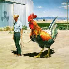 bigcock.jpg