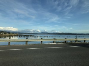 91D4EC64-D53F-4CE5-A08C-41011FD164C3.jpeg