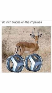 facebook_1564196420622.jpg